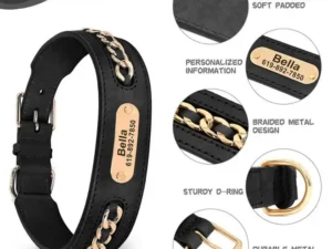 Leather Cuban Chain Collar with Customized Nameplate